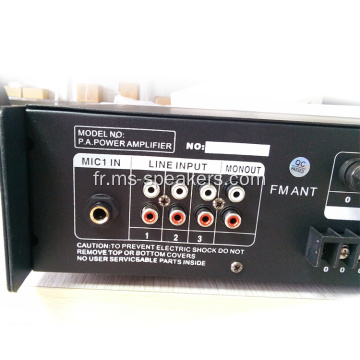 60W-650W Superbe Amplificateurs de puissance PA PA USB Superb